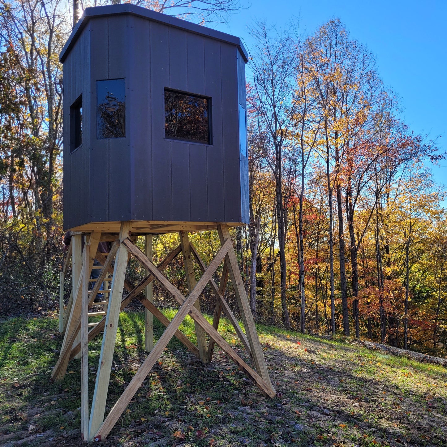 JDM Hunting Blind, 6' X 6' with Stairs